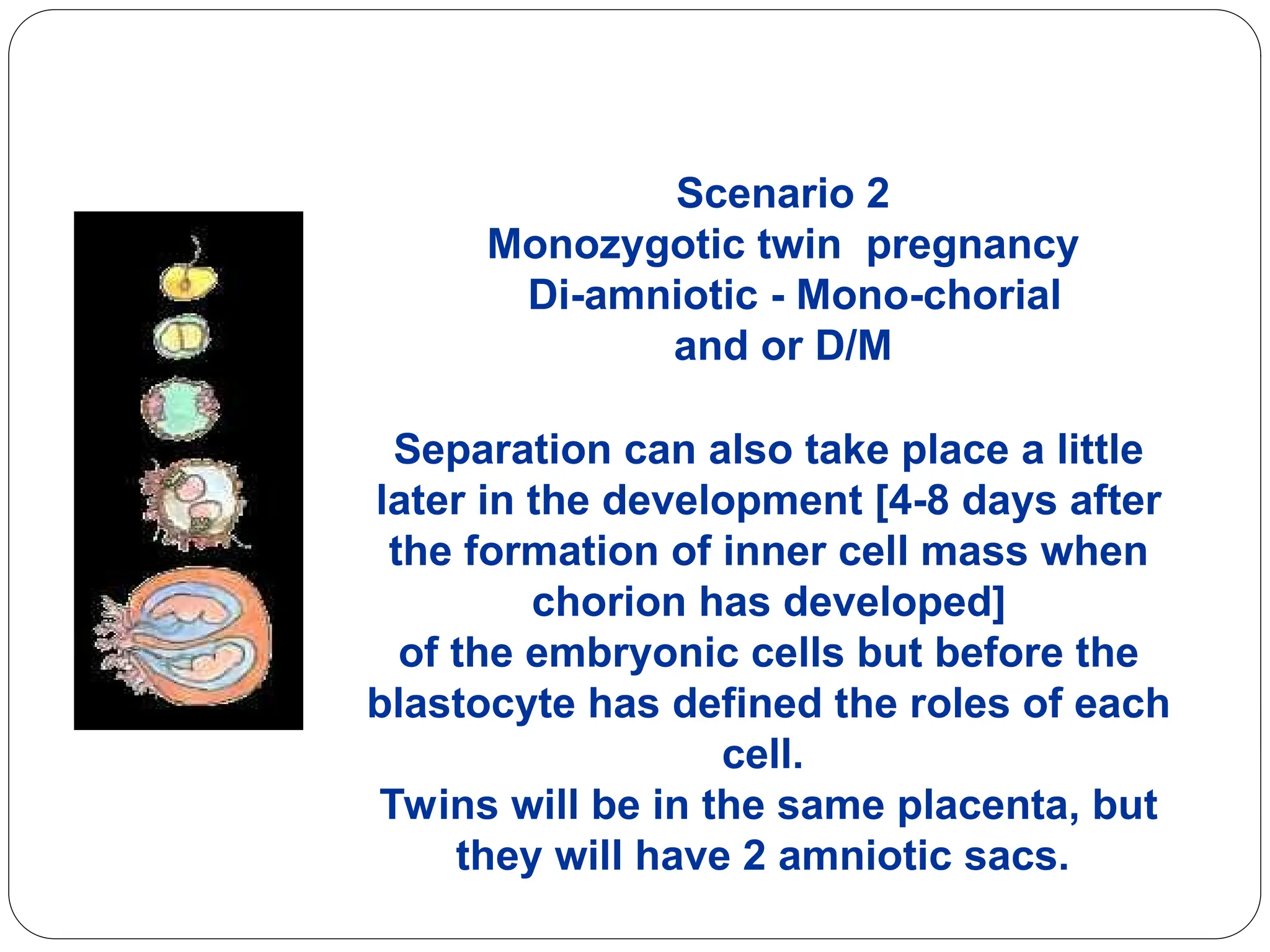 Scenario 2
Monozygotic twin pregnancy
Di-amniotic - Mono-chorial
and or D/M
Separation can also take place a little
later in the development [4-8 days after
the formation of inner cell mass when
chorion has developed]
of the embryonic cells but before the
blastocyte has defined the roles of each
cell.
Twins will be in the same placenta, but
they will have 2 amniotic sacs.
 