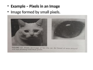 Pixel Example Computer Science Introduction to computer Graphicsss .pptx