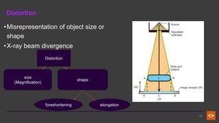 Size Distortion Radiograph Fundamental Principles and Terminology in Radiographic Positioning and ...