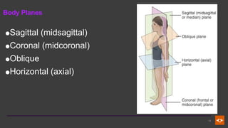 Midcornal Fundamental Principles and Terminology in Radiographic Positioning and ...