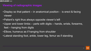 Fundamental Principles and Terminology in Radiographic Positioning and ...