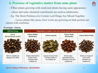 Alva's College of Pharmacy, Moodubidire 14
6. Presence of vegetative matter from same plant
- Other plants growing with medicinal plants having same appearance.
- odour and same chemical constituents are used as adulterants.
- Eg. The Stem Portions of a Certain Leaf Drugs Are Mixed Together.
- Lower plants like moss, liver worts are growing on bark portion are
mixed with cinchona.
 