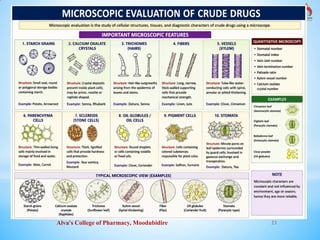 Alva's College of Pharmacy, Moodubidire 23
 