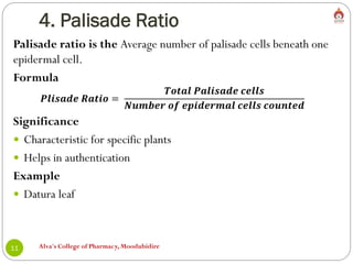 4. Palisade Ratio
Alva's College of Pharmacy, Moodubidire
11
Palisade ratio is the Average number of palisade cells beneath one
epidermal cell.
Formula
𝑷𝒍𝒊𝒔𝒂𝒅𝒆 𝑹𝒂𝒕𝒊𝒐 =
𝑻𝒐𝒕𝒂𝒍 𝑷𝒂𝒍𝒊𝒔𝒂𝒅𝒆 𝒄𝒆𝒍𝒍𝒔
𝑵𝒖𝒎𝒃𝒆𝒓 𝒐𝒇 𝒆𝒑𝒊𝒅𝒆𝒓𝒎𝒂𝒍 𝒄𝒆𝒍𝒍𝒔 𝒄𝒐𝒖𝒏𝒕𝒆𝒅
Significance
 Characteristic for specific plants
 Helps in authentication
Example
 Datura leaf
 