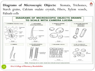 Alva's College of Pharmacy, Moodubidire
18
Diagrams of Microscopic Objects: Stomata, Trichomes,
Starch grains, Calcium oxalate crystals, Fibers, Xylem vessels,
Palisade cells
 