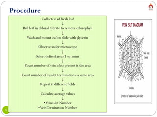 Alva's College of Pharmacy, Moodubidire
9
Collection of fresh leaf
↓
Boil leaf in chloral hydrate to remove chlorophyll
↓
Wash and mount leaf on slide with glycerin
↓
Observe under microscope
↓
Select defined area (1 sq. mm)
↓
Count number of vein islets present in the area
↓
Count number of veinlet terminations in same area
↓
Repeat in different fields
↓
Calculate average values
↓
•Vein Islet Number
•VeinTermination Number
Procedure
 