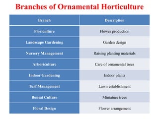 Branches of Ornamental Horticulture
Branch Description
Floriculture Flower production
Landscape Gardening Garden design
Nursery Management Raising planting materials
Arboriculture Care of ornamental trees
Indoor Gardening Indoor plants
Turf Management Lawn establishment
Bonsai Culture Miniature trees
Floral Design Flower arrangement
 