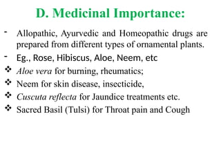 D. Medicinal Importance:
- Allopathic, Ayurvedic and Homeopathic drugs are
prepared from different types of ornamental plants.
- Eg., Rose, Hibiscus, Aloe, Neem, etc
 Aloe vera for burning, rheumatics;
 Neem for skin disease, insecticide,
 Cuscuta reflecta for Jaundice treatments etc.
 Sacred Basil (Tulsi) for Throat pain and Cough
 