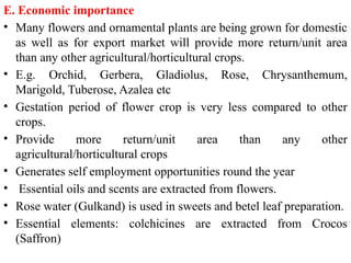 E. Economic importance
• Many flowers and ornamental plants are being grown for domestic
as well as for export market will provide more return/unit area
than any other agricultural/horticultural crops.
• E.g. Orchid, Gerbera, Gladiolus, Rose, Chrysanthemum,
Marigold, Tuberose, Azalea etc
• Gestation period of flower crop is very less compared to other
crops.
• Provide more return/unit area than any other
agricultural/horticultural crops
• Generates self employment opportunities round the year
• Essential oils and scents are extracted from flowers.
• Rose water (Gulkand) is used in sweets and betel leaf preparation.
• Essential elements: colchicines are extracted from Crocos
(Saffron)
 