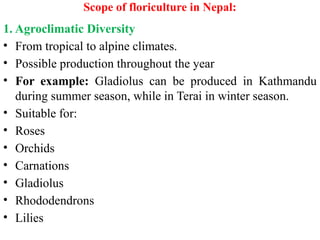 Scope of floriculture in Nepal:
1. Agroclimatic Diversity
• From tropical to alpine climates.
• Possible production throughout the year
• For example: Gladiolus can be produced in Kathmandu
during summer season, while in Terai in winter season.
• Suitable for:
• Roses
• Orchids
• Carnations
• Gladiolus
• Rhododendrons
• Lilies
 