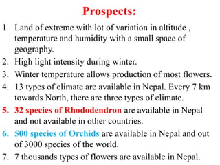 Prospects:
1. Land of extreme with lot of variation in altitude ,
temperature and humidity with a small space of
geography.
2. High light intensity during winter.
3. Winter temperature allows production of most flowers.
4. 13 types of climate are available in Nepal. Every 7 km
towards North, there are three types of climate.
5. 32 species of Rhododendron are available in Nepal
and not available in other countries.
6. 500 species of Orchids are available in Nepal and out
of 3000 species of the world.
7. 7 thousands types of flowers are available in Nepal.
 