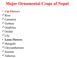 Major Ornamental Crops of Nepal
• Cut Flowers
Rose
Carnation
Gerbera
Gladiolus
Orchid
Lily
• Loose Flowers
Marigold
Chrysanthemum
Jasmine
Tuberose
 