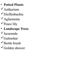 • Potted Plants
Anthurium
Dieffenbachia
Aglaonema
Peace lily
• Landscape Trees
Jacaranda
Gulmohar
Bottle brush
Golden shower
 