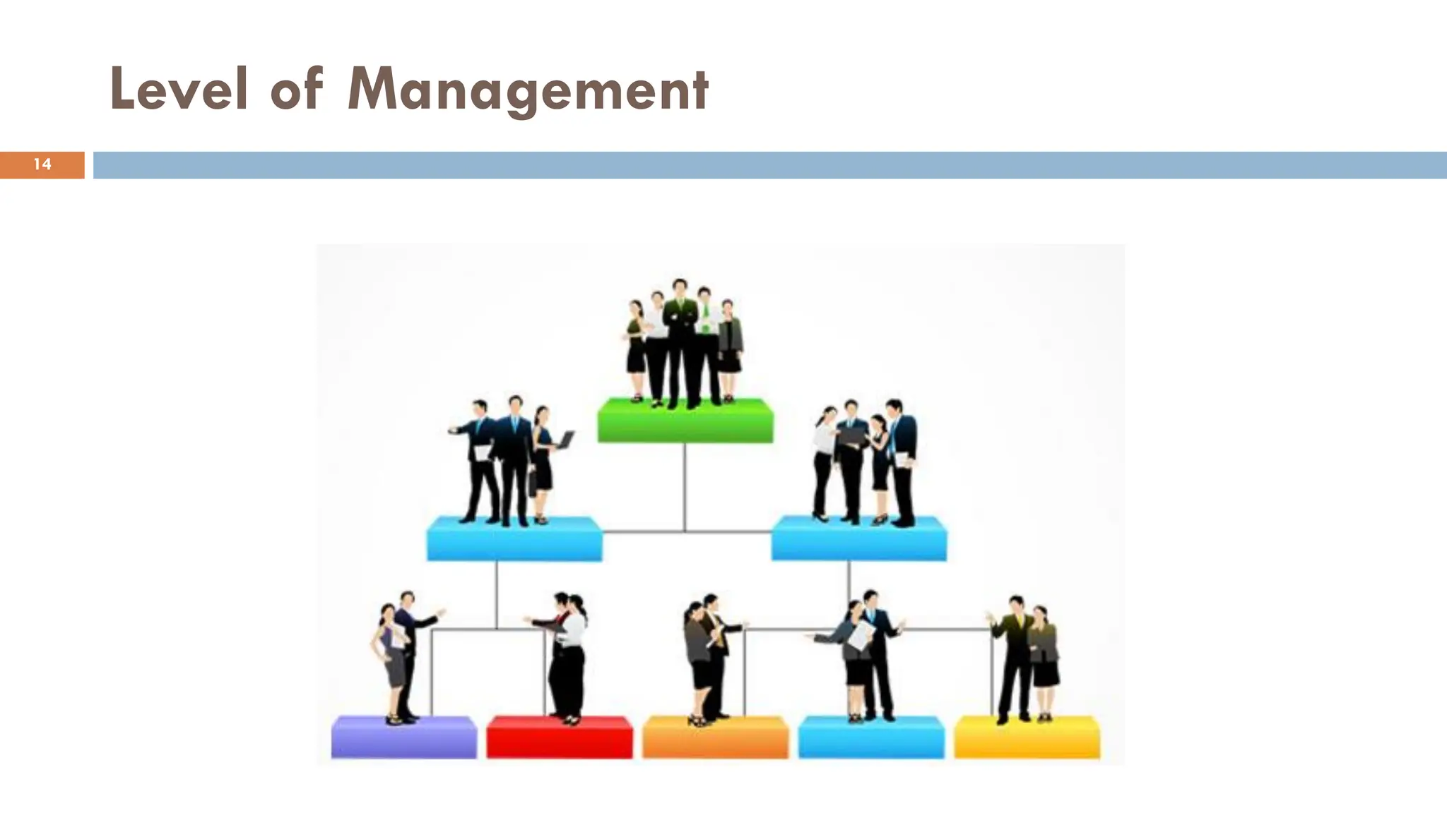 Level of Management
14
 