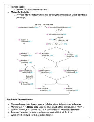  Pentose sugars:
o Needed for DNA and RNA synthesis.
 Metabolic flexibility:
o Provides intermediates that connect carbohydrate metabolism with biosynthetic
pathways.
Clinical Note: G6PD Deficiency
 Glucose-6-phosphate dehydrogenase deficiency is an X-linked genetic disorder.
 More severe in red blood cells, since the HMP Shunt is their only source of NADPH.
 Without NADPH, RBCs cannot neutralize oxidative stress → leads to hemolysis.
 Triggered by certain drugs (e.g., primaquine, acetanilide) or infections.
 Symptoms: hemolytic anemia, jaundice, fatigue.
 