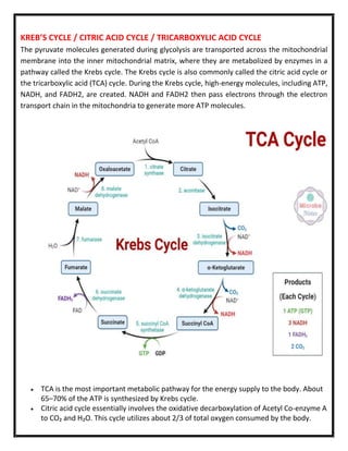 KREB’S CYCLE / CITRIC ACID CYCLE / TRICARBOXYLIC ACID CYCLE
The pyruvate molecules generated during glycolysis are transported across the mitochondrial
membrane into the inner mitochondrial matrix, where they are metabolized by enzymes in a
pathway called the Krebs cycle. The Krebs cycle is also commonly called the citric acid cycle or
the tricarboxylic acid (TCA) cycle. During the Krebs cycle, high-energy molecules, including ATP,
NADH, and FADH2, are created. NADH and FADH2 then pass electrons through the electron
transport chain in the mitochondria to generate more ATP molecules.
 TCA is the most important metabolic pathway for the energy supply to the body. About
65–70% of the ATP is synthesized by Krebs cycle.
 Citric acid cycle essentially involves the oxidative decarboxylation of Acetyl Co-enzyme A
to CO₂ and H₂O. This cycle utilizes about 2/3 of total oxygen consumed by the body.
 