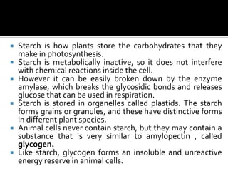 CAPE Biology Unit 1 | PPTX