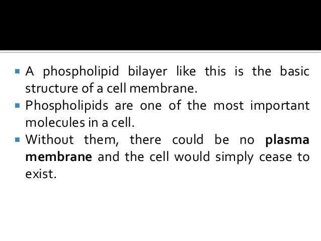 Cape biology paper 1 Cape biology paper 1