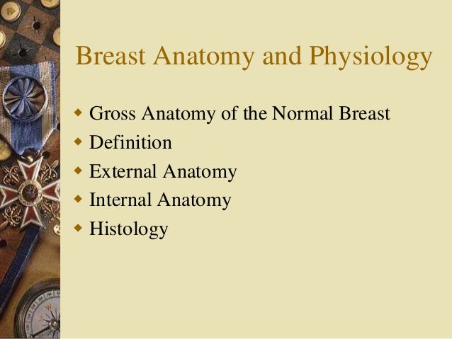 Breast Anatomy And Physiology