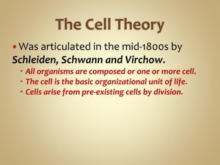  Was articulated in the mid-1800s by
Schleiden, Schwann and Virchow.
 All organisms are composed or one or more cell.
 The cell is the basic organizational unit of life.
 Cells arise from pre-existing cells by division.
 