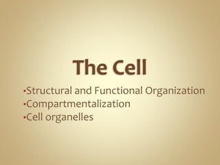 •Structural and Functional Organization
•Compartmentalization
•Cell organelles
 