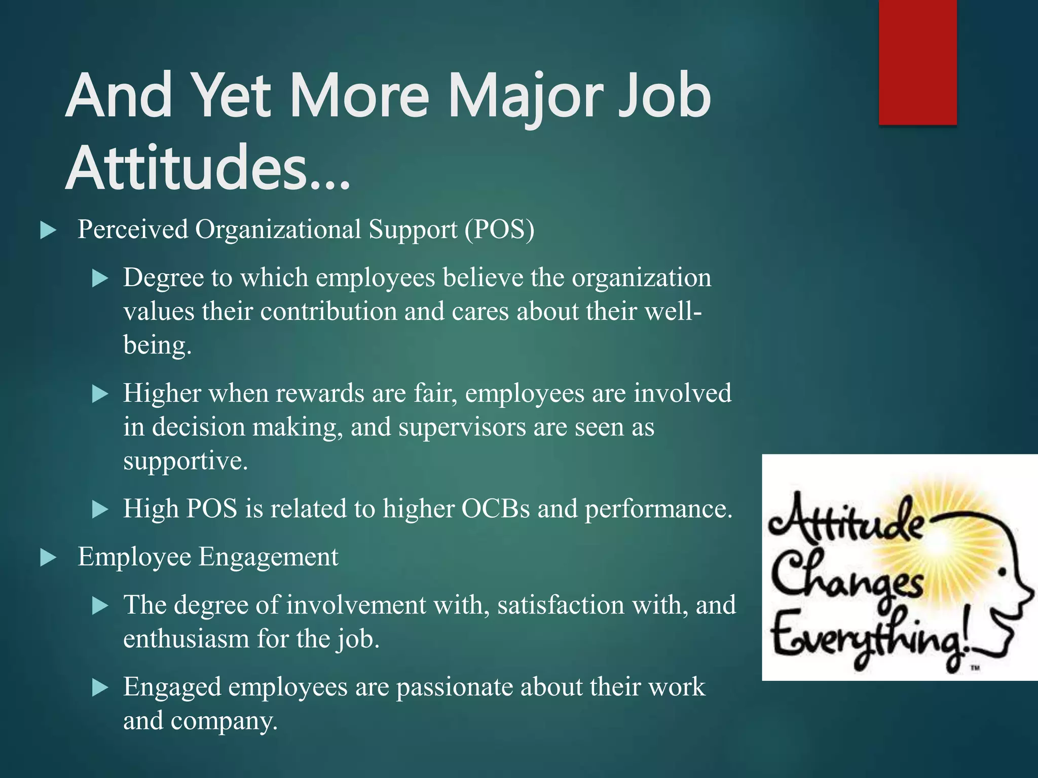 And Yet More Major Job
Attitudes…
 Perceived Organizational Support (POS)
 Degree to which employees believe the organization
values their contribution and cares about their well-
being.
 Higher when rewards are fair, employees are involved
in decision making, and supervisors are seen as
supportive.
 High POS is related to higher OCBs and performance.
 Employee Engagement
 The degree of involvement with, satisfaction with, and
enthusiasm for the job.
 Engaged employees are passionate about their work
and company.
 