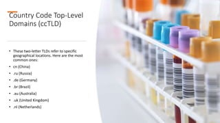 Country Code Top-Level
Domains (ccTLD)
• These two-letter TLDs refer to specific
geographical locations. Here are the most
common ones:
• cn (China)
• .ru (Russia)
• .de (Germany)
• .br (Brazil)
• .au (Australia)
• .uk (United Kingdom)
• .nl (Netherlands)
 