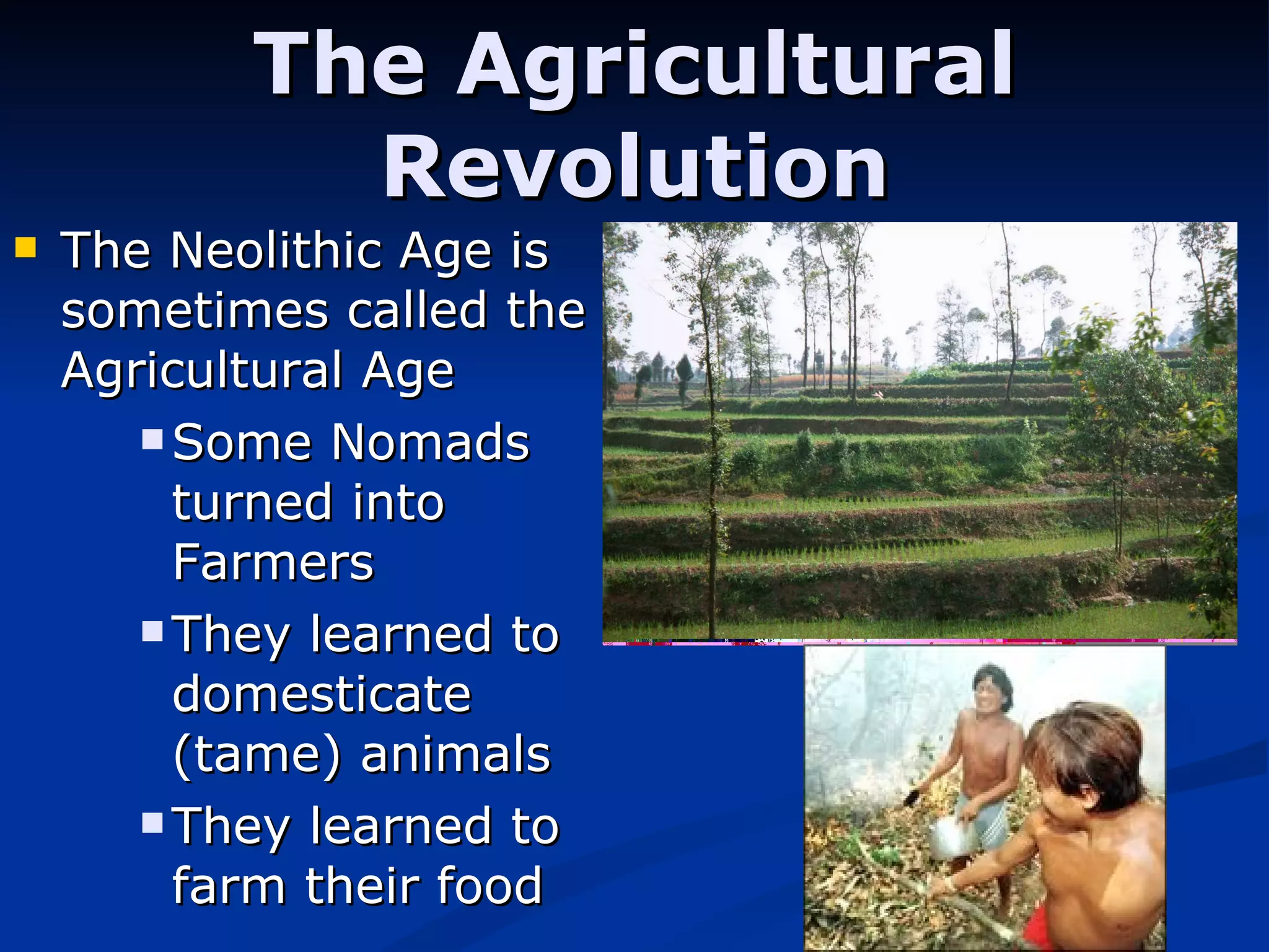 The Agricultural Revolution The Neolithic Age is sometimes called the Agricultural Age Some Nomads turned into Farmers They learned to domesticate (tame) animals  They learned to farm their food 