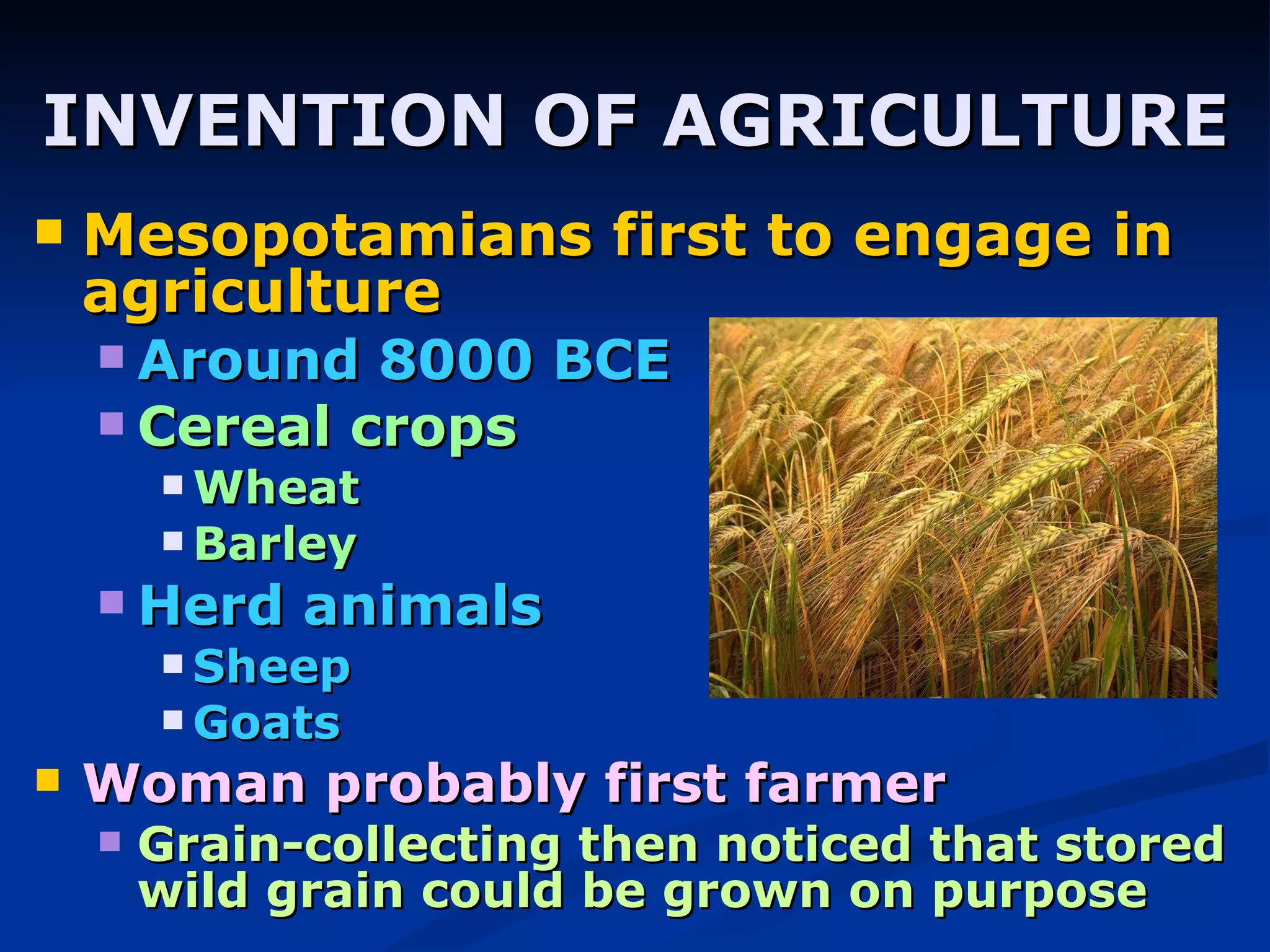 INVENTION OF AGRICULTURE Mesopotamians first to engage in agriculture  Around 8000 BCE Cereal crops Wheat Barley  Herd animals Sheep Goats Woman probably first farmer Grain-collecting then noticed that stored wild grain could be grown on purpose 