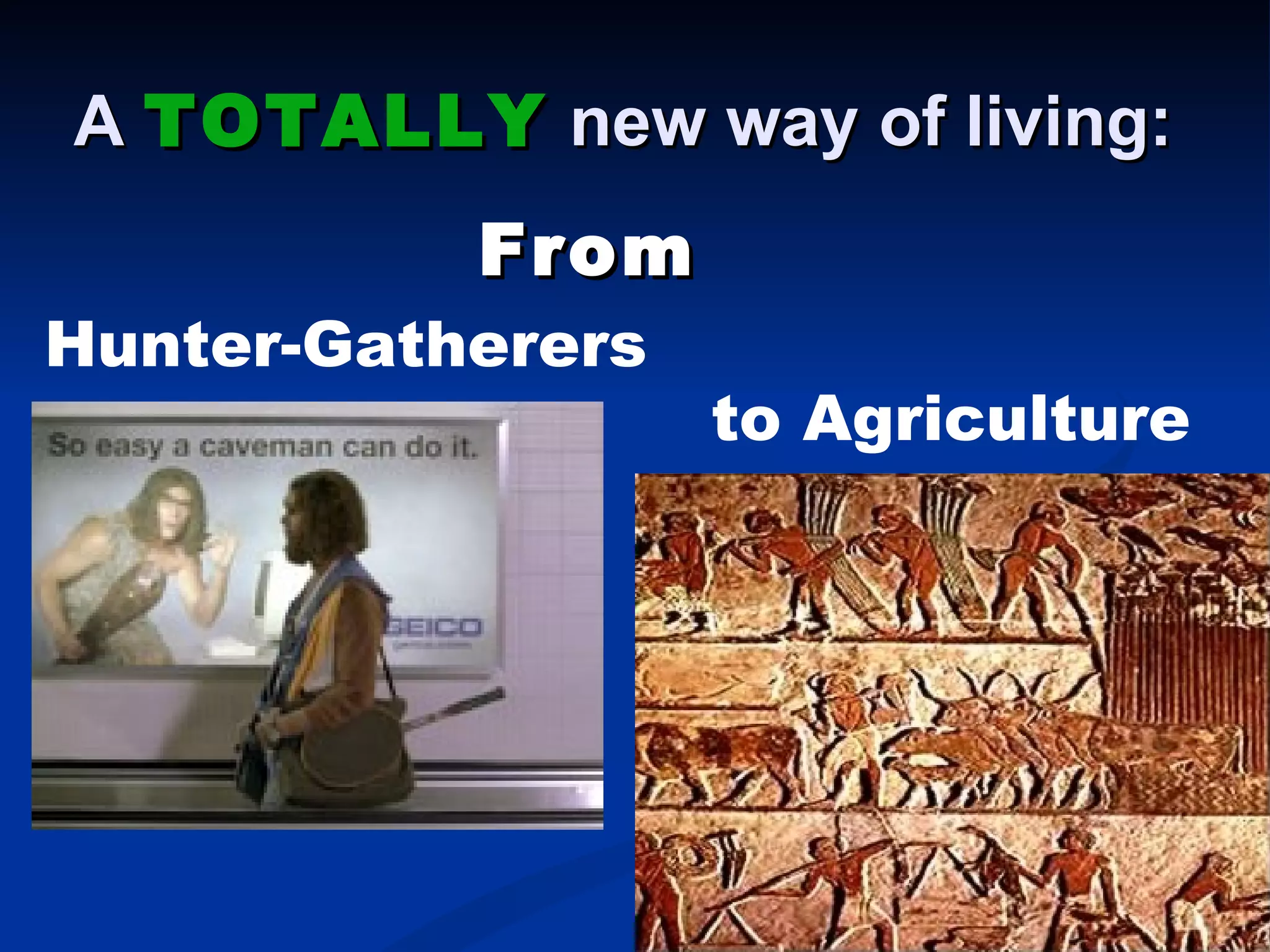 A  TOTALLY  new way of living:   From  Hunter-Gatherers to Agriculture 
