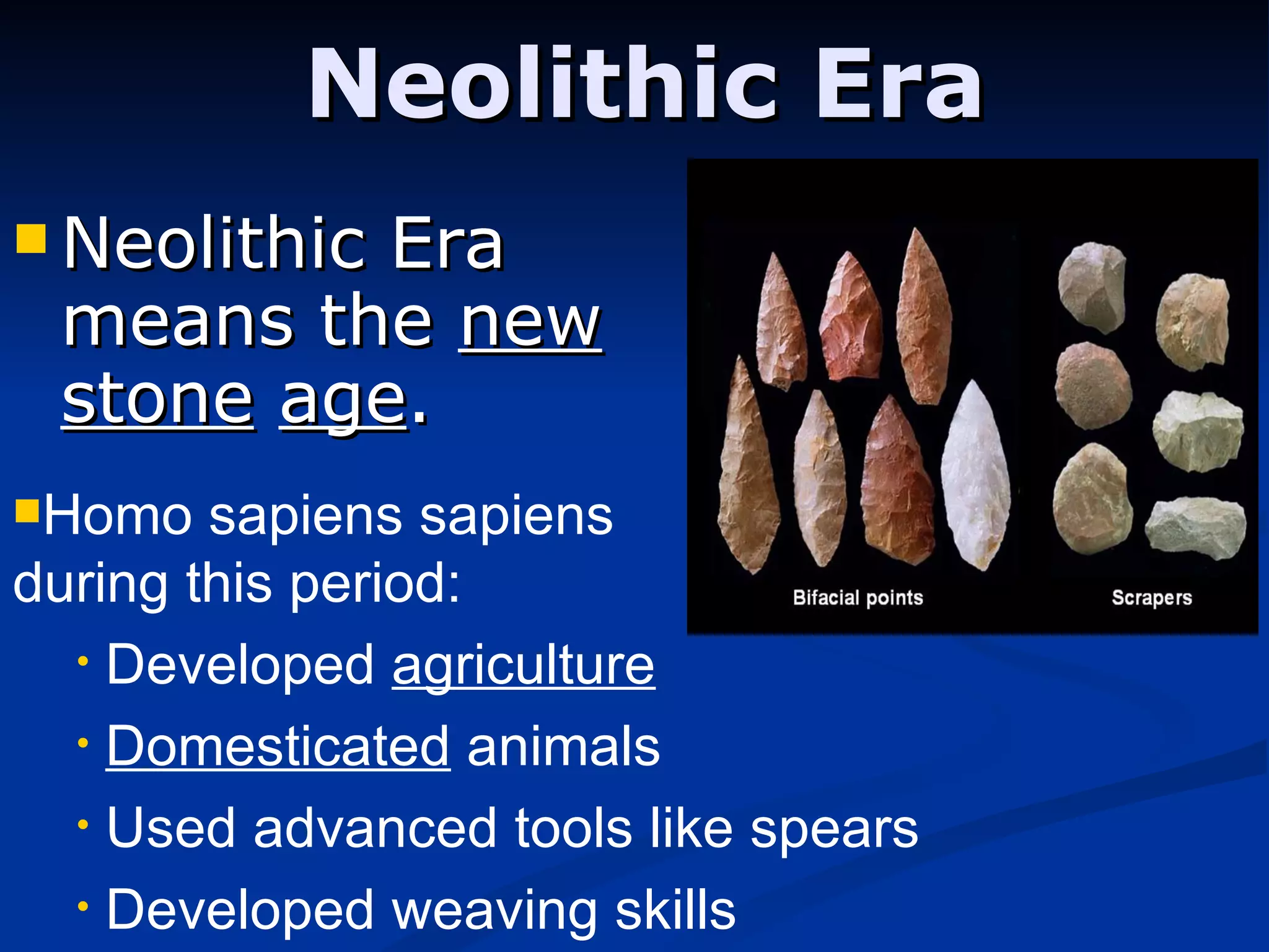 Neolithic Era Neolithic Era means the  new   stone   age . Homo sapiens sapiens  during this period: Developed  agriculture Domesticated  animals Used advanced tools like spears Developed weaving skills 