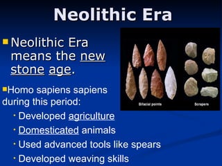 Neolithic Era Neolithic Era means the  new   stone   age . Homo sapiens sapiens  during this period: Developed  agriculture Domesticated  animals Used advanced tools like spears Developed weaving skills 