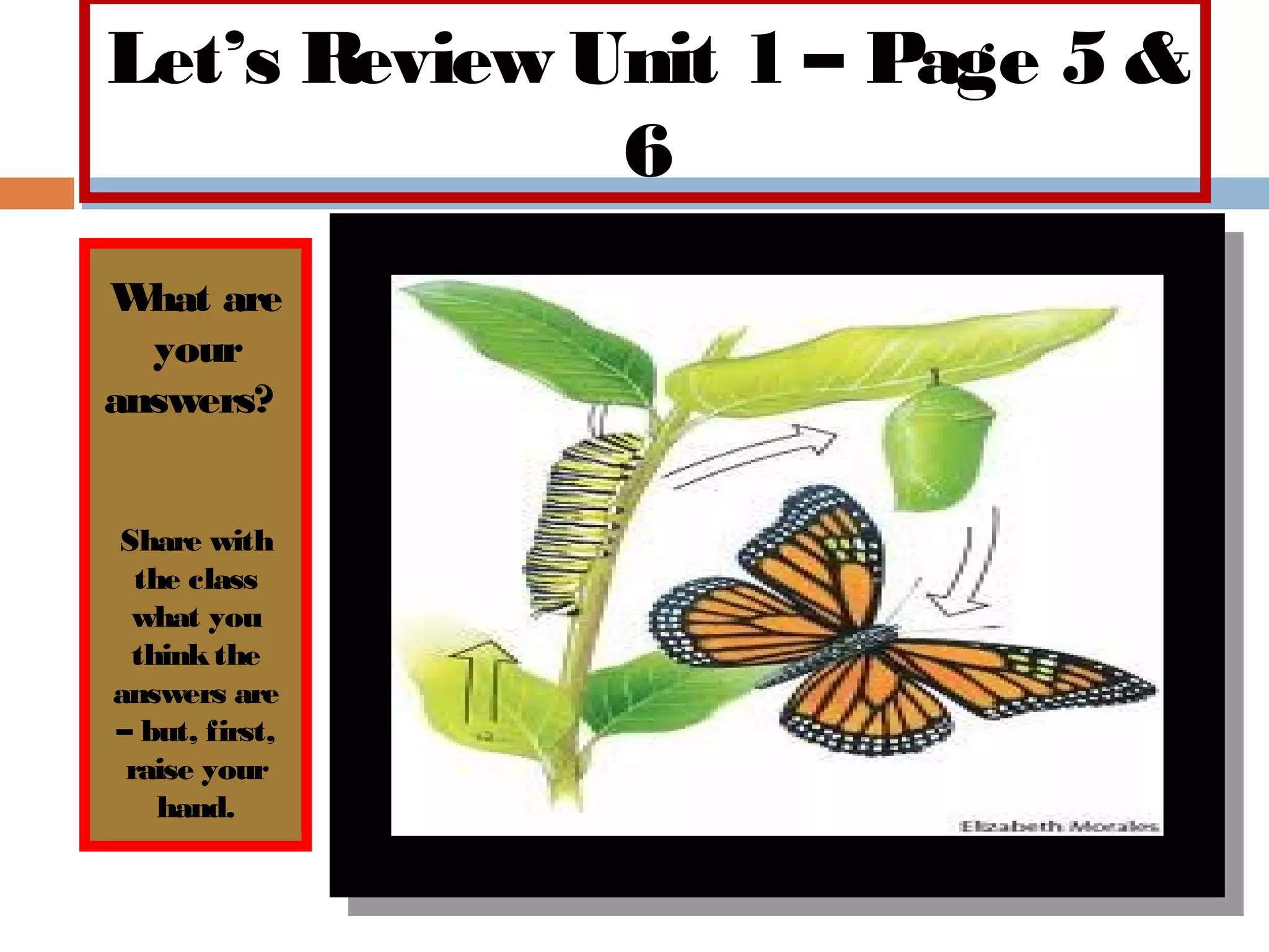 Unit 1 hello everybody | PPT | Homework and Study | Education