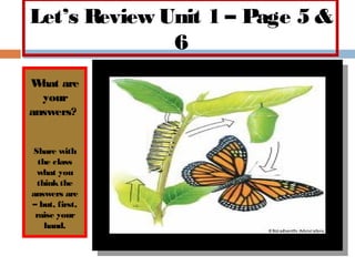 Let’s Review Unit 1 – Page 5 &
              6
W hat are
  your
answers?


Share with
  the class
 what you
 think the
answers are
– but, first,
 raise your
    hand.
 