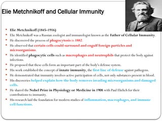 Elie Metchnikoff and Cellular Immunity
 Elie Metchnikoff (1845–1916)
 Elie Metchnikoff was a Russian zoologist and immunologist known as the Father of Cellular Immunity.
 He discovered the process of phagocytosis in 1882.
 He observed that certain cells could surround and engulf foreign particles and
microorganisms.
 He identified phagocytic cells such as macrophages and neutrophils that protect the body against
infections.
 He proposed that these cells form an important part of the body's defense system.
 His work established the concept of innate immunity, the first line of defense against pathogens.
 He demonstrated that immunity involves active participation of cells, not only substances present in blood.
 His discoveries helped explain how the body removes invading microorganisms and damaged
cells.
 He shared the Nobel Prize in Physiology or Medicine in 1908 with Paul Ehrlich for their
contributions to immunity.
 His research laid the foundation for modern studies of inflammation, macrophages, and immune
cell functions.
 