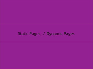 Static Pages / Dynamic Pages
 