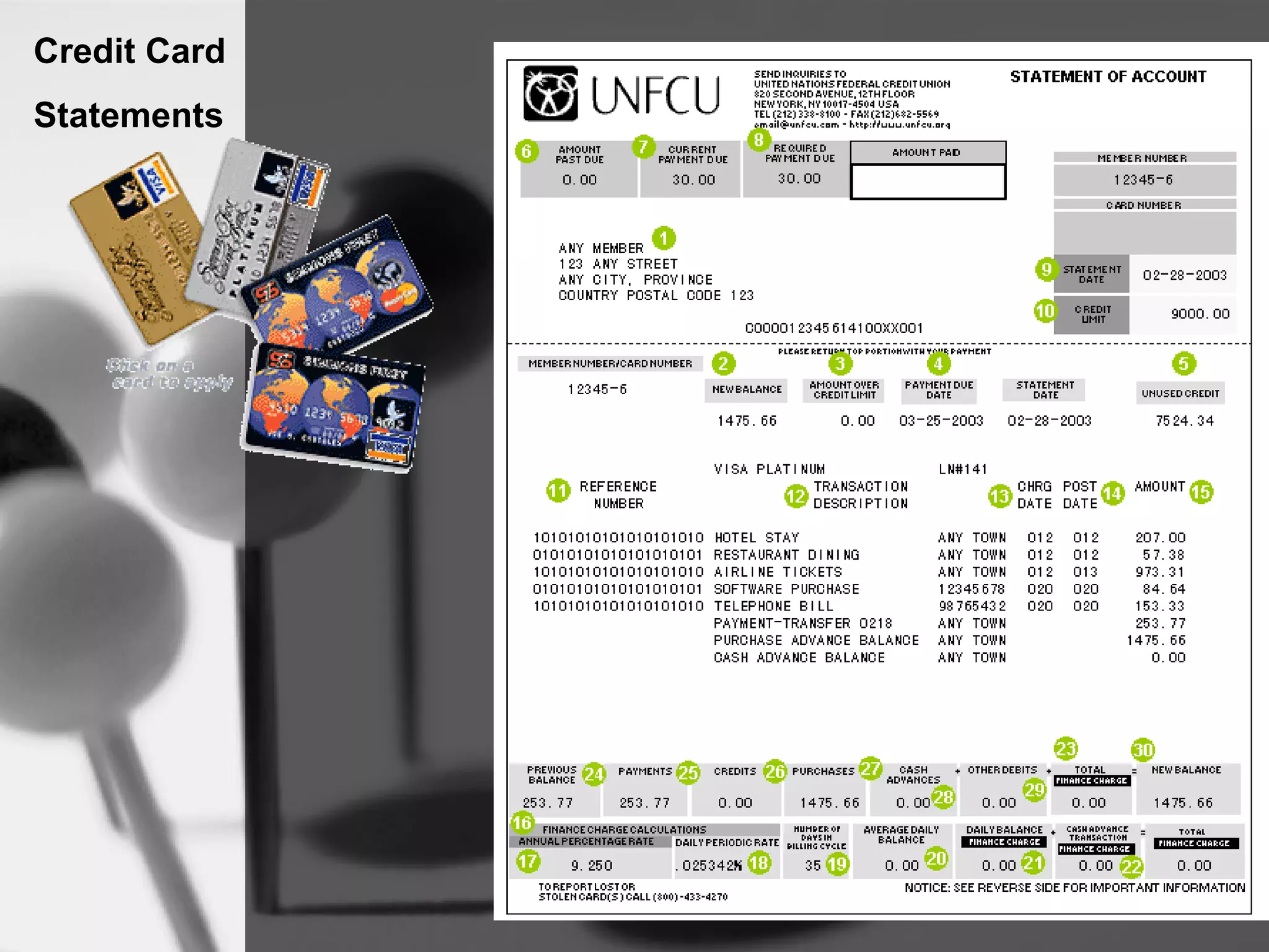 Credit Card
Statements
 