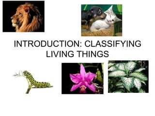INTRODUCTION: CLASSIFYING
      LIVING THINGS
 