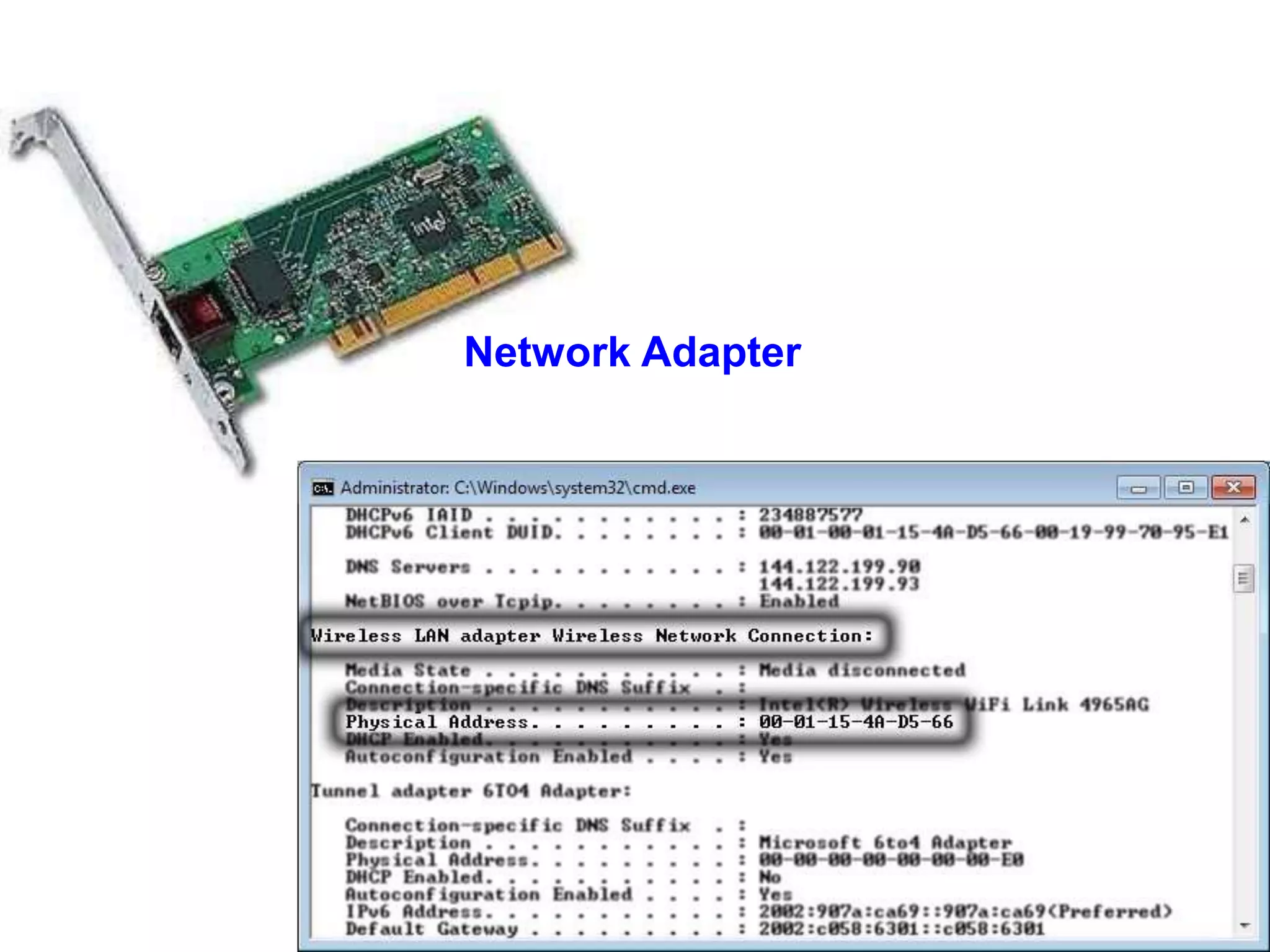 Network Adapter
 
