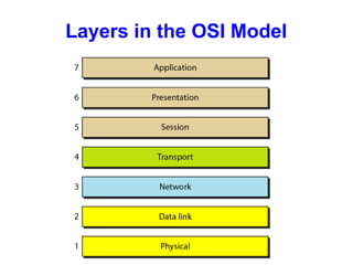 Layers in the OSI Model
 