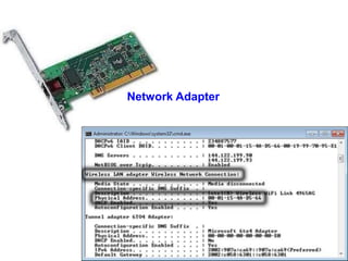 Network Adapter
 