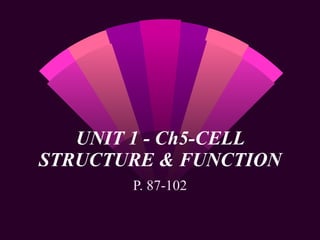 UNIT 1 - Ch5-CELL STRUCTURE & FUNCTION P. 87-102 