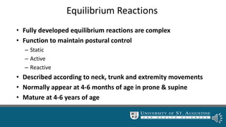 Equilibrium Reactions
• Fully developed equilibrium reactions are complex
• Function to maintain postural control
– Static
– Active
– Reactive
• Described according to neck, trunk and extremity movements
• Normally appear at 4-6 months of age in prone & supine
• Mature at 4-6 years of age
 