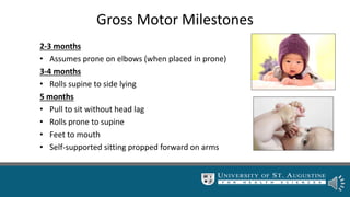 Gross Motor Milestones
2-3 months
• Assumes prone on elbows (when placed in prone)
3-4 months
• Rolls supine to side lying
5 months
• Pull to sit without head lag
• Rolls prone to supine
• Feet to mouth
• Self-supported sitting propped forward on arms
 