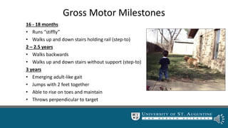 Gross Motor Milestones
16 - 18 months
• Runs “stiffly”
• Walks up and down stairs holding rail (step-to)
2 – 2.5 years
• Walks backwards
• Walks up and down stairs without support (step-to)
3 years
• Emerging adult-like gait
• Jumps with 2 feet together
• Able to rise on toes and maintain
• Throws perpendicular to target
 