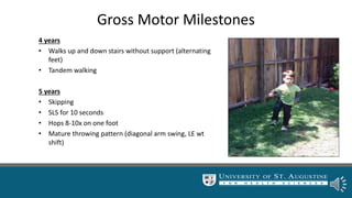 4 years
• Walks up and down stairs without support (alternating
feet)
• Tandem walking
5 years
• Skipping
• SLS for 10 seconds
• Hops 8-10x on one foot
• Mature throwing pattern (diagonal arm swing, LE wt
shift)
Gross Motor Milestones
 