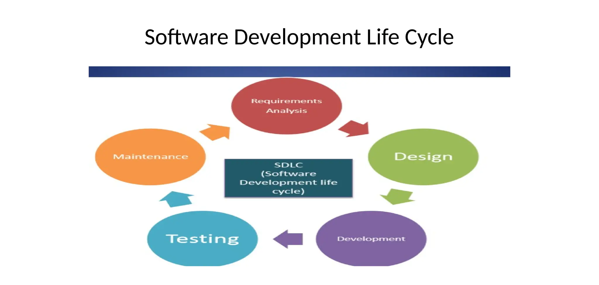 Software Development Life Cycle
 