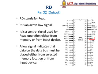 RD
Pin 32 (Output)
• RD stands for Read.
• It is an active low signal.
• It is a control signal used for
Read operation either from
memory or from Input device.
• A low signal indicates that
data on the data bus must be
placed either from selected
memory location or from
input device.
 