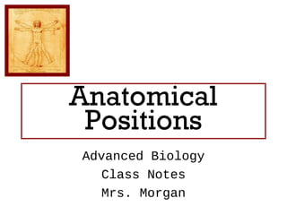 Anatomical
 Positions
Advanced Biology
   Class Notes
   Mrs. Morgan
 