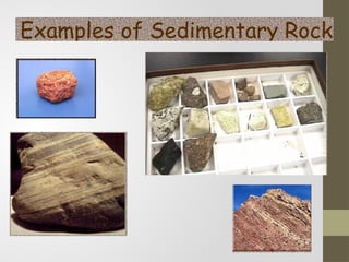 lides detail formation processes (intrusive/extrusive for igneous ...